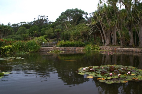 Logan Botanic Gardens pond
